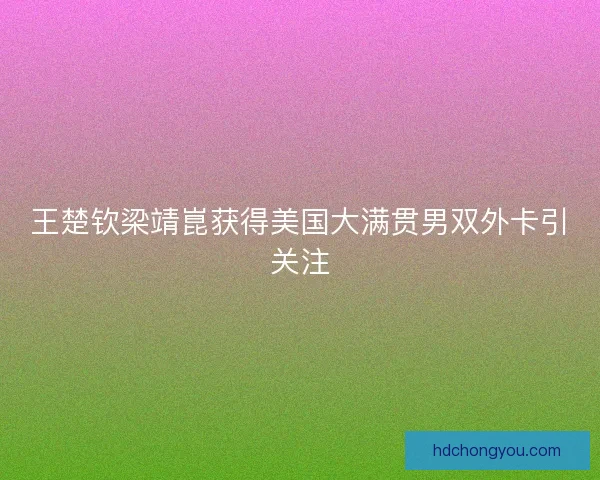 王楚钦梁靖崑获得美国大满贯男双外卡引关注